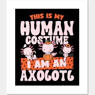 This is my human costume im  an Axolotl Posters and Art